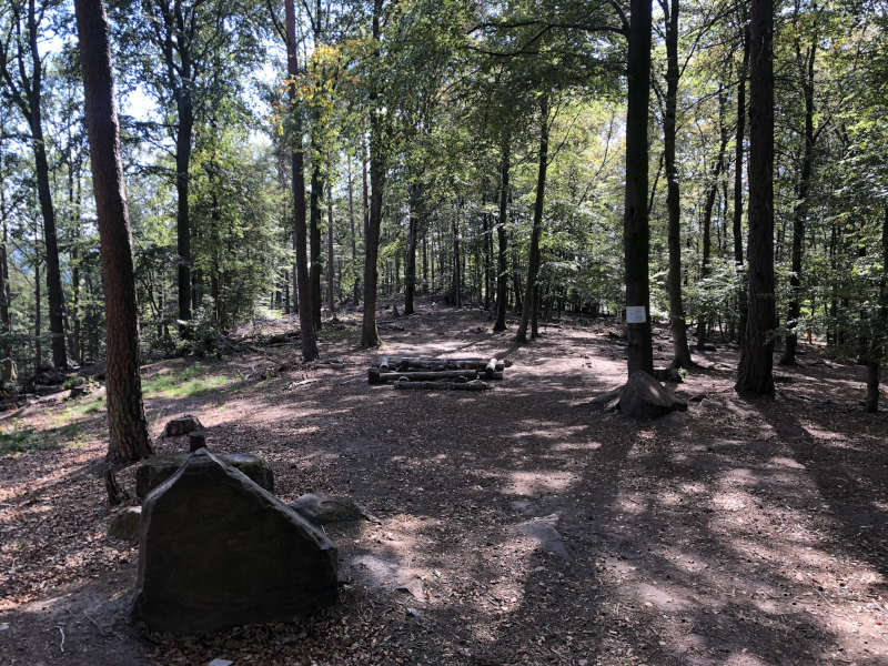 Trekking am Heldenstein (Foto: Bildarchiv Südliche Weinstrasse e.V.)