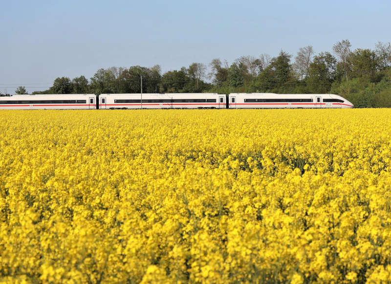 ICE 4 im Rapsfeld (Foto: Deutsche Bahn AG / Wolfgang Klee)