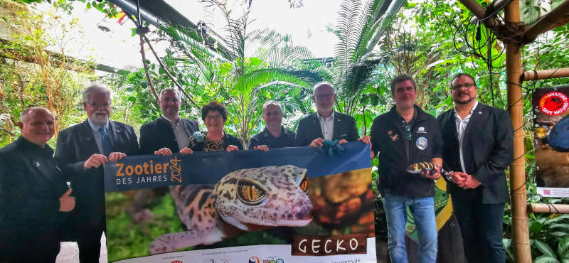 Presse-Vorstellung des Zootiers des Jahres im Zoo Köln. (Foto: ZdJ/Zoo Landau)