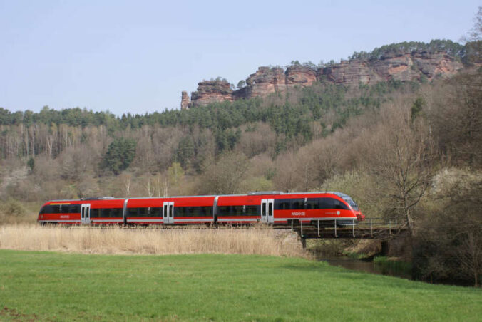 Ein "Talent" unter dem Hochstein bei Dahn (Foto: Fritz Engbarth)