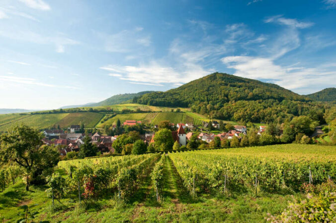 Pfälzer Weinsteig: Blick über die Weinlandschaft auf Leinsweiler (Foto: Dominik Ketz / Rheinland-Pfalz Tourismus GmbH)
