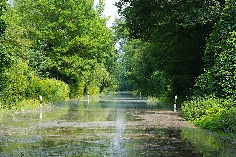 Überflutete Straße (Foto: Holger Knecht)