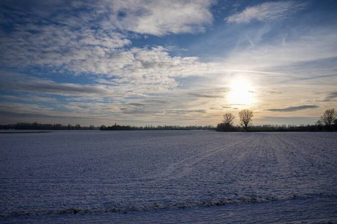 Landschaft bei Otterstadt (Foto: Holger Knecht)