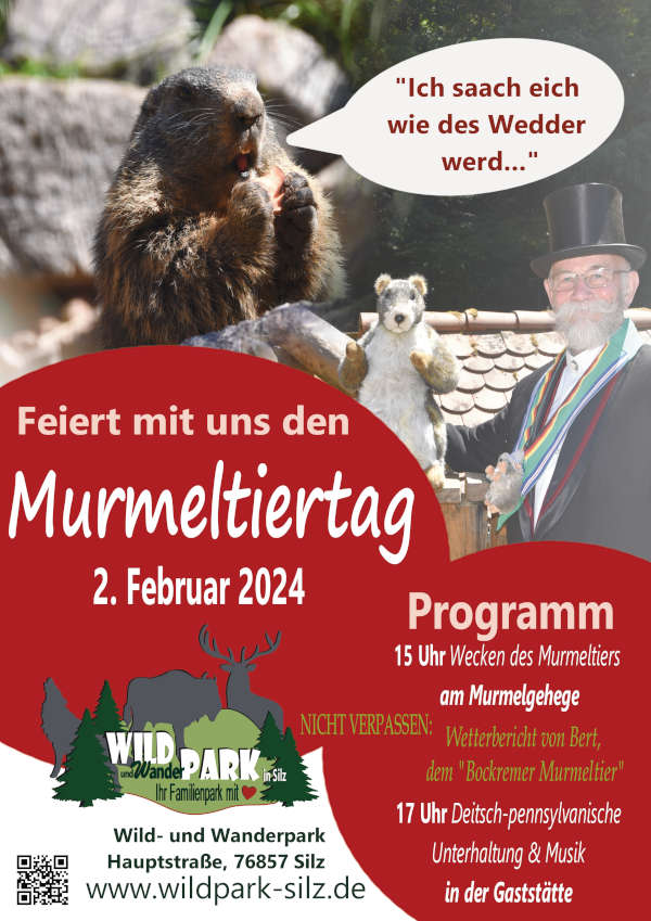 Murmeltierplakat