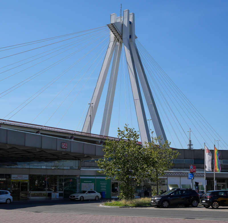 Die Pylonbrücke in Ludwigshafen (Foto: Holger Knecht)