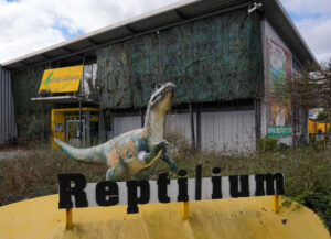 Das Reptilium Landau (Foto: Holger Knecht)