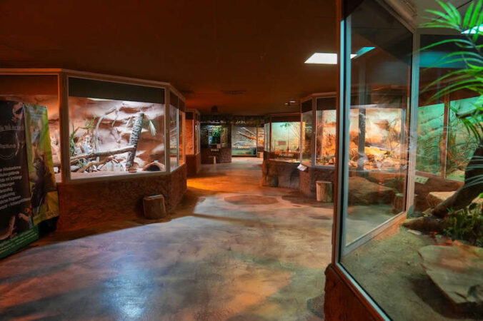 Zu Besuch im Reptilium Landau Treffpunkt Pfalz