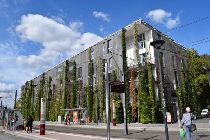 Foto: Bundesverband Gebäudegrün