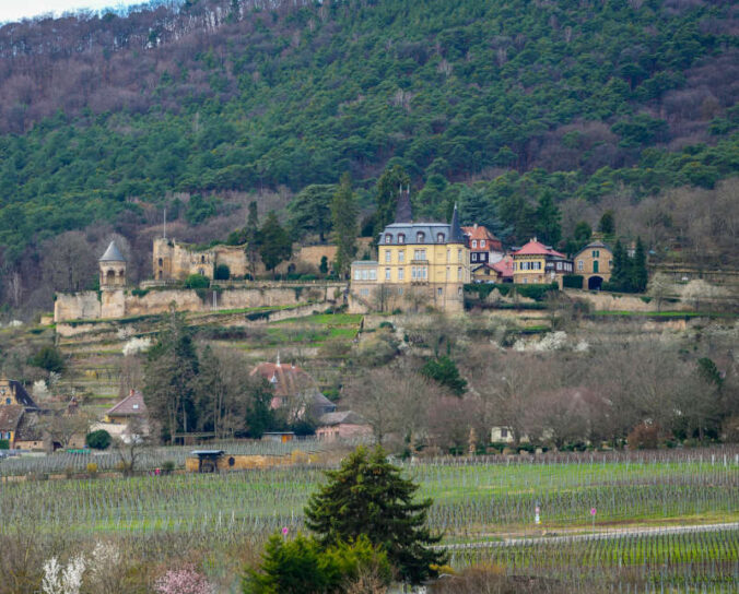 Das Haardter Schloss in Neustadt an der Weinstraße (Foto: Holger Knecht)