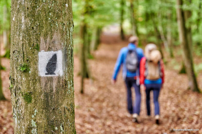 Hinkelsteinweg (Foto: Donnersberg-Touristik-Verband, Florian Trykowski)