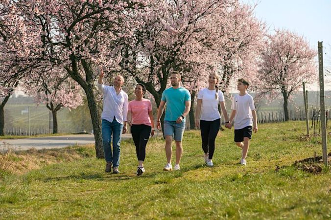 Mandelblüte Maikammer (Foto: AD LUMINA Ralf Ziegler)