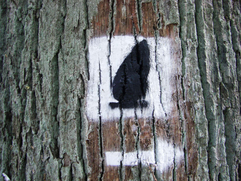 Markierung am Baum (Foto: Tourist-Info Otterberg)