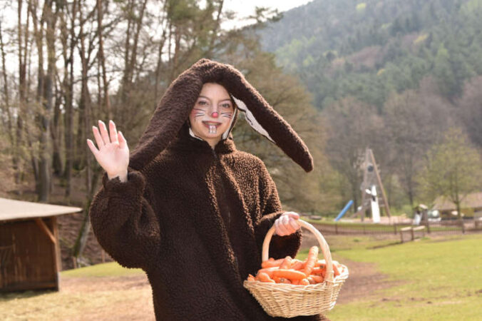 Der Osterhase des Wild- und Wanderparks Südliche Weinstraße (Foto: WWP)