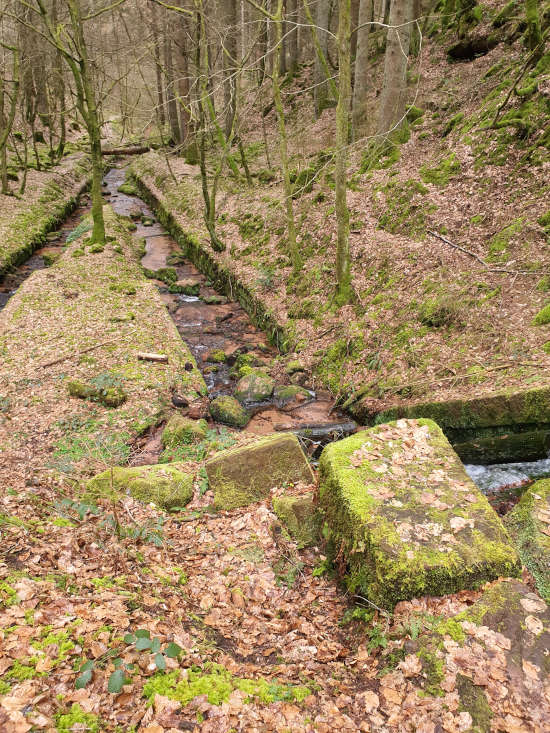 Blick auf die Triftanlage im Breitenbach (Foto: Pia Neumann)