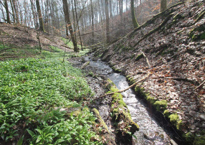 Schluchtenpfad (Foto: Uwe Bachmann)