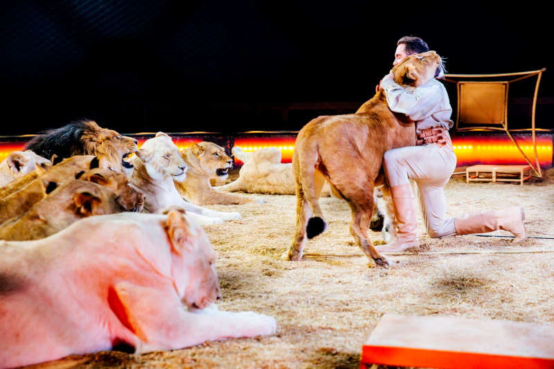 Martin Lacey jr. (Foto: Circus-Krone.de)