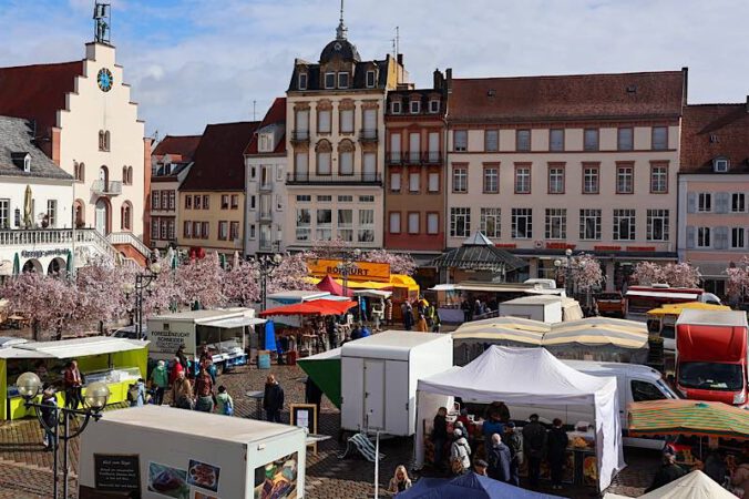 Deutsch-Französischer Bauernmarkt auf den Landauer Rathausplatz (Quelle: Stadt Landau)