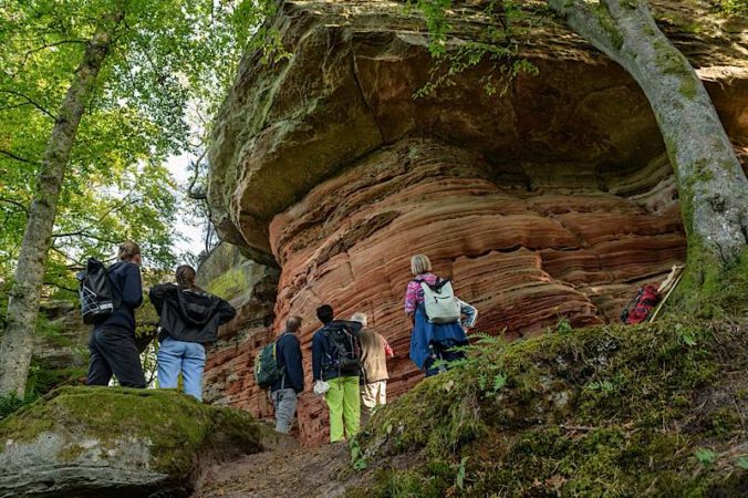 Mit den Biosphären-Guides den Pfälzerwald und seine Besonderheiten entdecken (Foto: Ralf Ziegler/AD LUMINA)