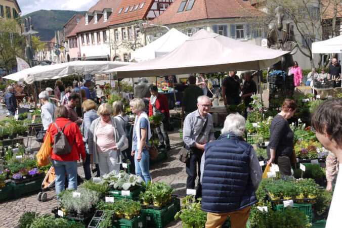 Garten- und Pflanzenmarkt (Foto: Rathaus Edenkoben)