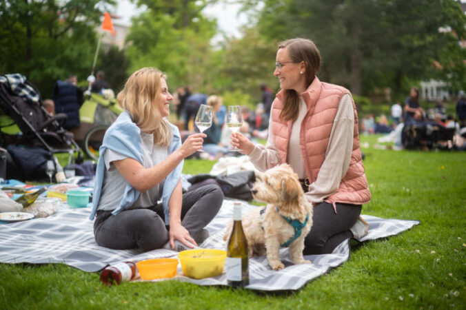 Winzerpicknick im Kurpark (Foto: Stadt Bad Dürkheim/Florian Schmitt)