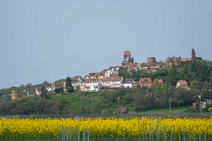 Blick auf Neuleiningen (Foto: Holger Knecht)