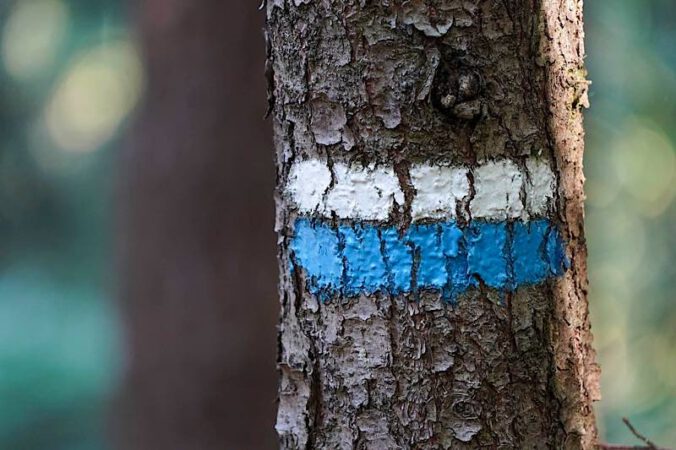 Waldwegmarkierung (Foto: Holger Knecht)