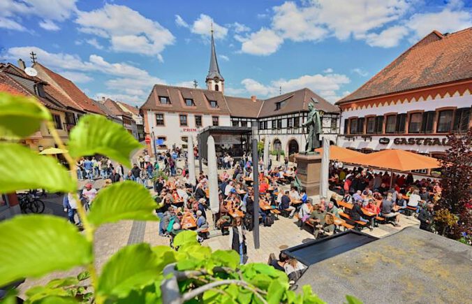Zum Maifest nach Maikammer in der Pfalz (Foto: Michael Schepers / Pfalz Touristik e.V.)