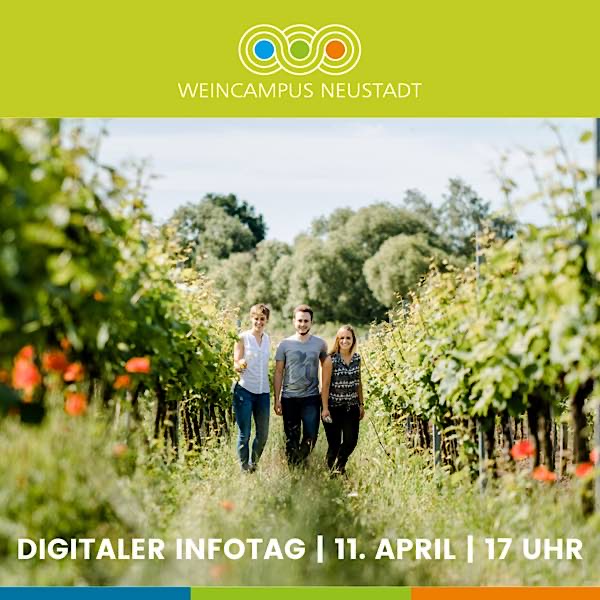 Digitaler Infotag