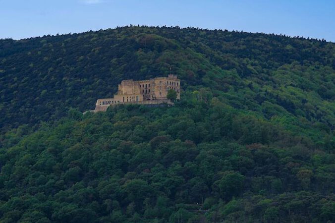 Hambacher Schloss (Foto: Holger Knecht)