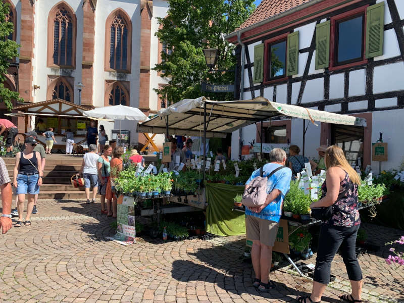 Kandeler Kräuter- und Ölmarkt (Foto: Verbandsgemeindeverwaltung Kandel)