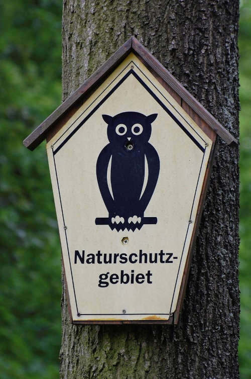 Symbolbild Naturschutz (Foto: Pixabay/Katermikesch)