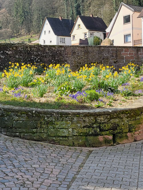 Blumen am Friedhof Lambrecht (Foto: privat)