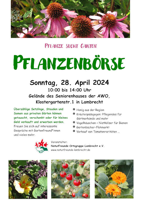 Pflanzenbörse 2024 - Plakat