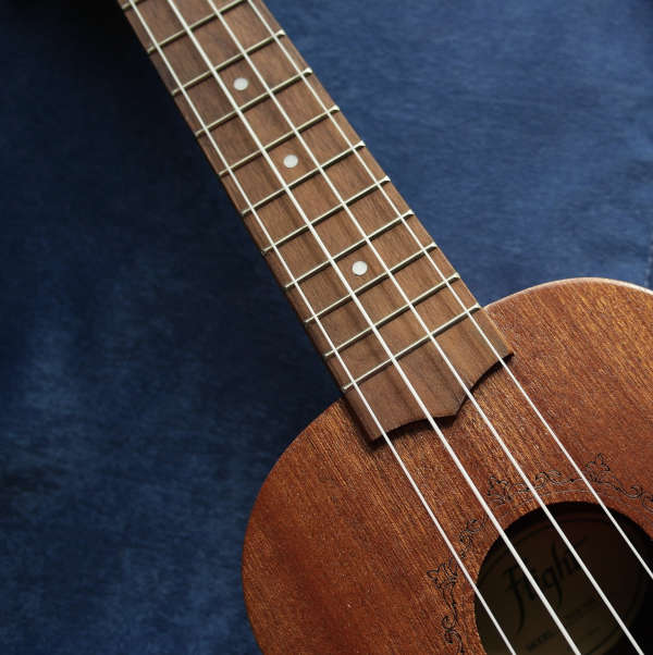 Symbolbild Ukulele (Foto: Pixabay/heleneles)