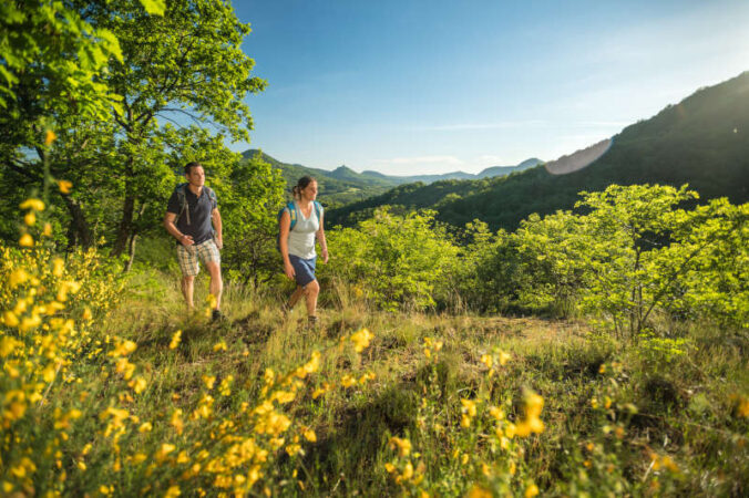 Wandern auf der Pfälzer Hüttentour im Pfälzerwald (Dominik Ketz/Pfalz.Touristik e.V.)