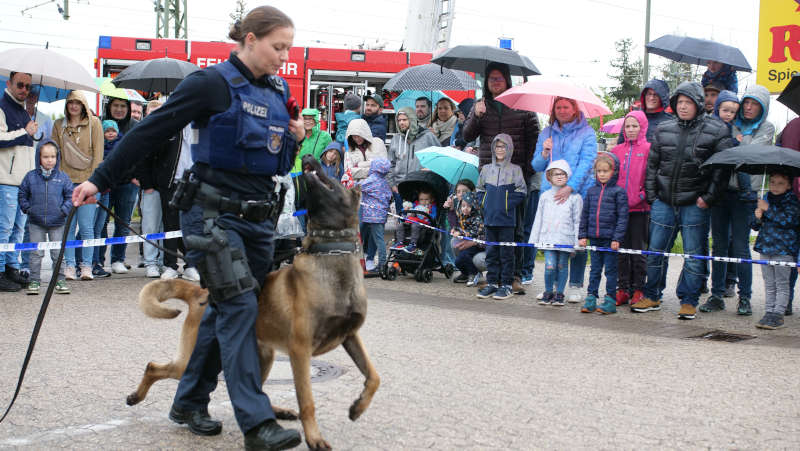 Eine Polizeidiensthundeführerin während einer Vorführung mit ihrem Polizeihund. (Foto: Polizei RLP)