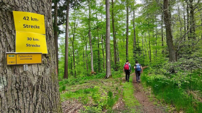 Wandermarathon am Donnersberg (Foto: Jörg Thamer)