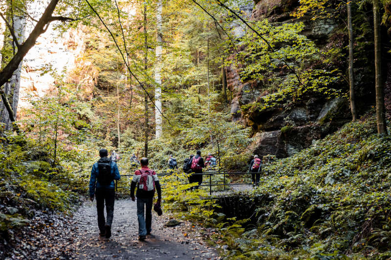 Nature Walk Pfalz (Foto: Bettina Schulz)