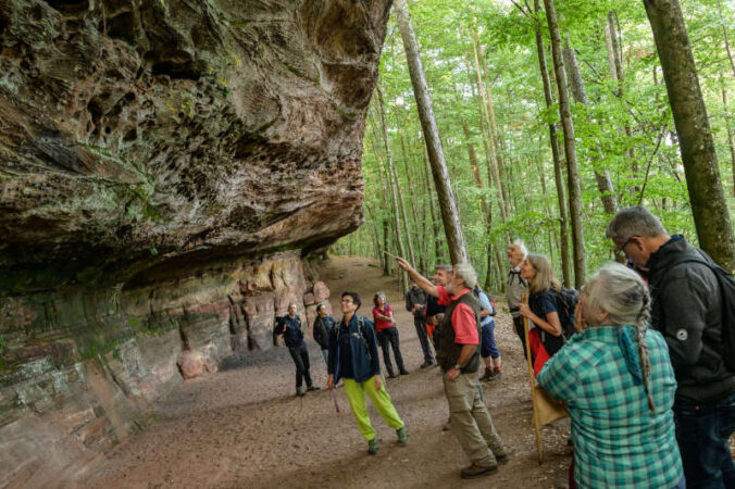 Auf Entdeckungsreise durch den Pfälzerwald mit den Biosphären-Guides (Foto: Biosphärenreservat/Ralf Ziegler)