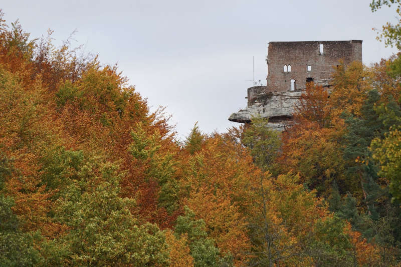 Burg Spangenberg im Herbst (Foto: Holger Knecht)