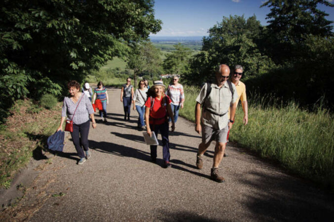 Gästeführung Leinsweiler (Foto: Pfalz.Touristik e.V.)