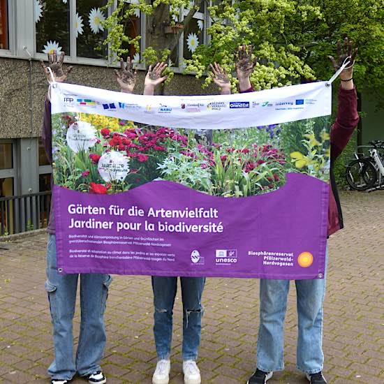 Nach getaner Arbeit sind die Hände mit Erde bedeckt und es ist ein neues Gemeinschaftsgefühl zwischen den deutschen und französischen Schülerinnen und Schülern entstanden (Foto: Biosphärenreservat)