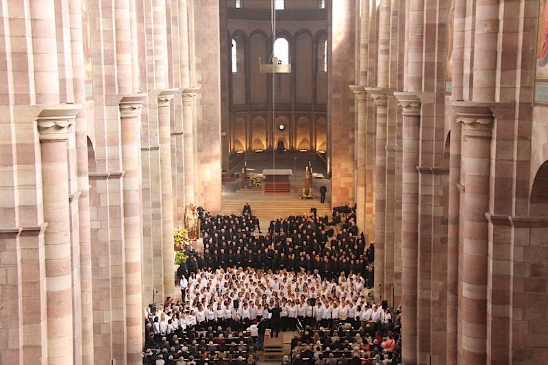 Die Tropf-Chöre im Dom bei „Baden schaut über den Rhein“ 2017 (Foto: Dombauverein Speyer/Franz Gabath)