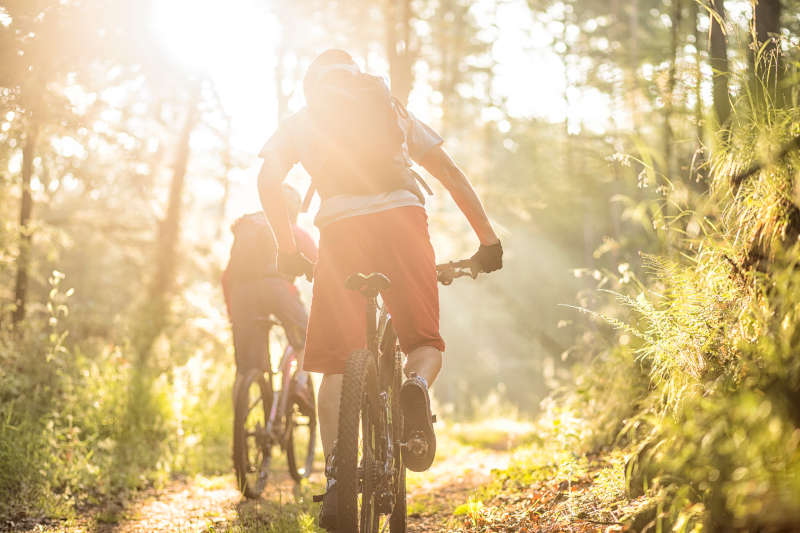 Mountainbikepark Pfälzerwald (Foto: Andreas Meyer, World of MTB / Pfalz-Touristik e.V.)