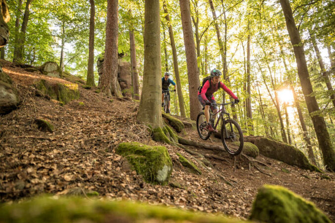 Mountainbikepark Pfälzerwald (Foto: Andreas Meyer, World of MTB / Pfalz-Touristik e.V.)