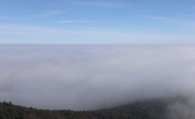 Die Südpfalz im Nebel gefangen
