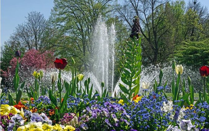 Sternbrunnen im Ebertpark (Foto: Ilona Schäfer)