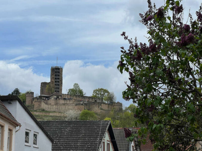 Die Wachtenburg (Foto: Norbert Benz)