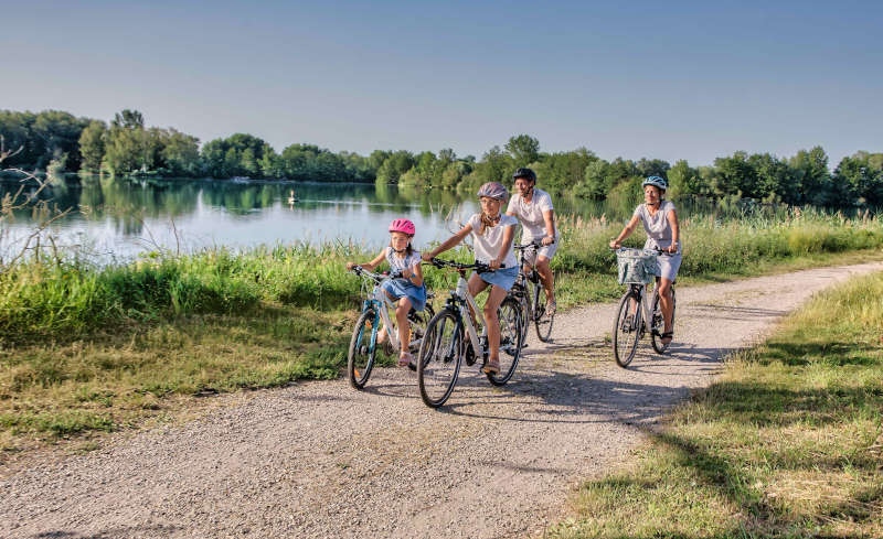 Rheinschleife für Genießer (Quelle: Südpfalz-Tourismus e.V., Fotografie Hoff)