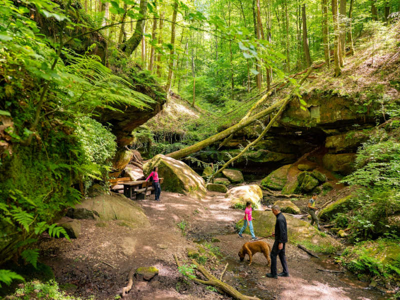 Die Hexenklamm bei Pirmasens (Foto: Fachenbach Medien / Pfalz Touristik e.V. (CC BY 4.0 https://creativecommons.org/licenses/by/4.0/))